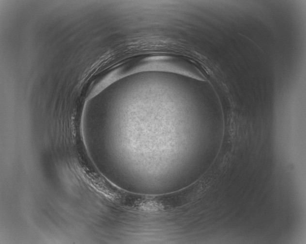 X0000086050258200703231315