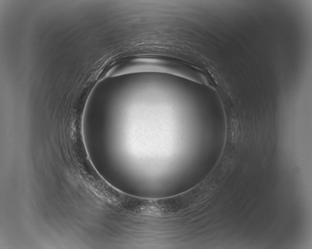 X0000086050259200703231315