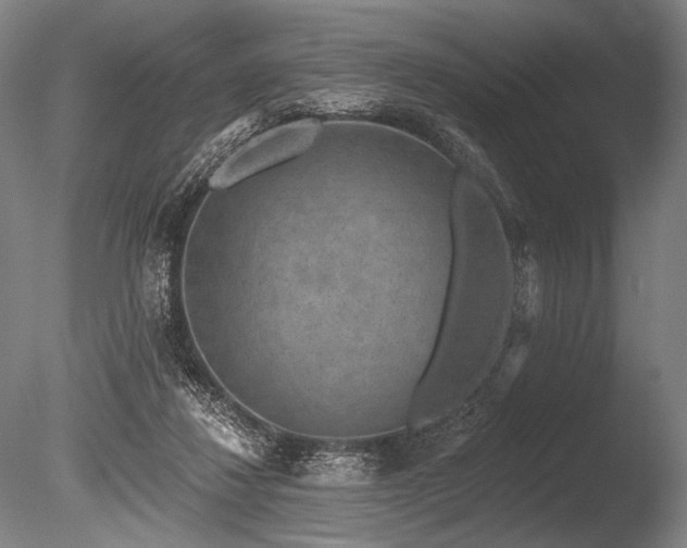 X0000086050260200703231315