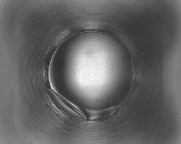 X0000086050261200703231315