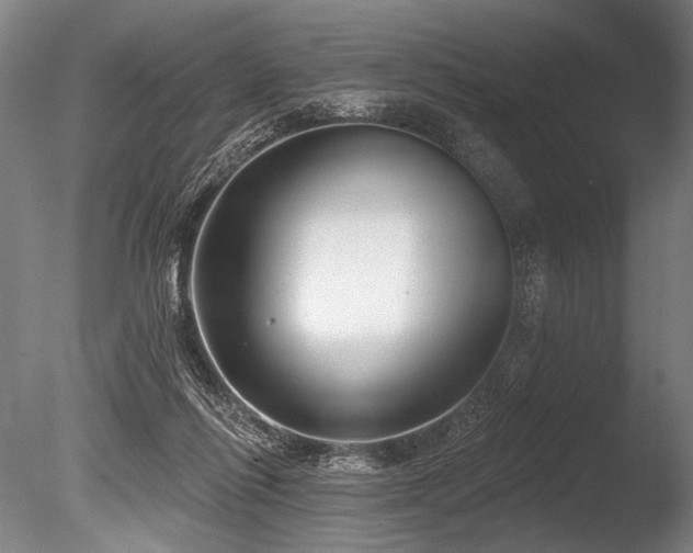 X0000086050262200703231315