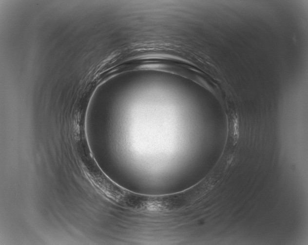 X0000086050264200703231315