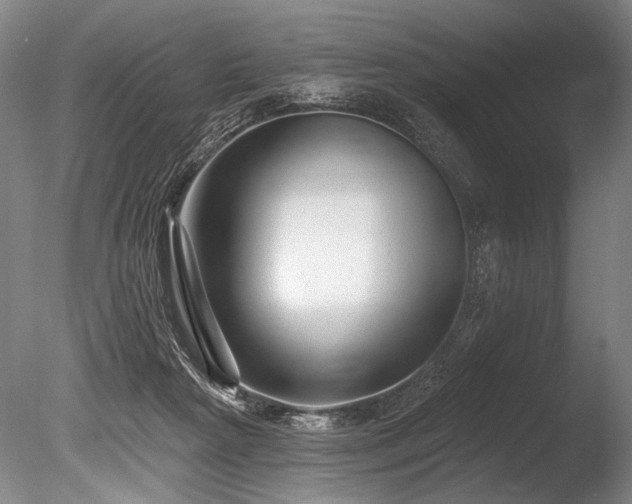 X0000086050265200703231315