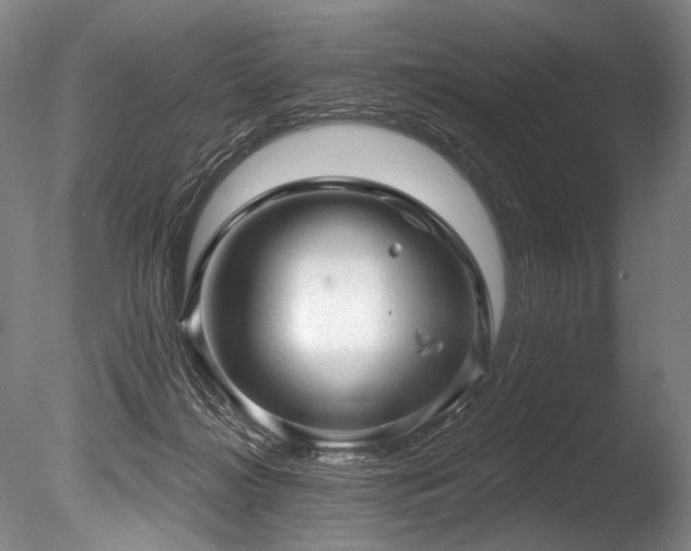 X0000086050268200703231315