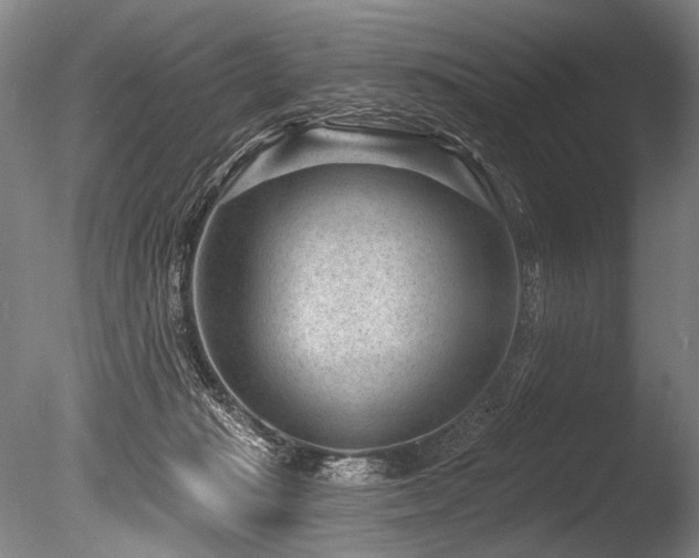 X0000086050269200703231315