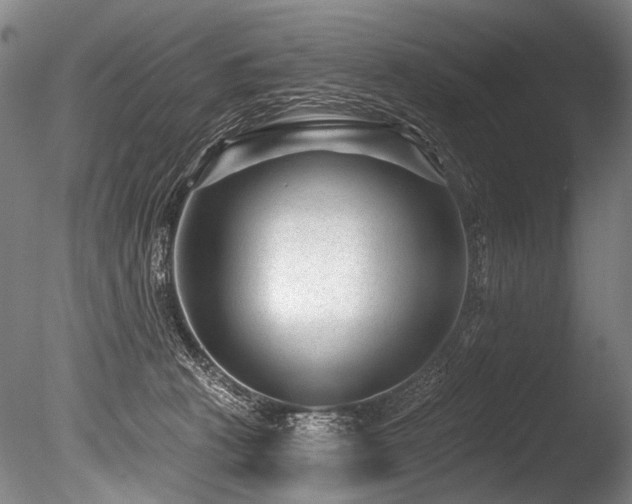 X0000086050273200703231315