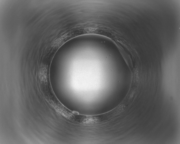 X0000086050274200703231315