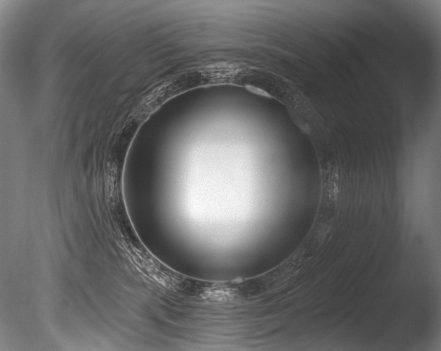 X0000086050283200703231315