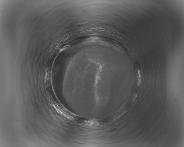 X0000086050284200703231315
