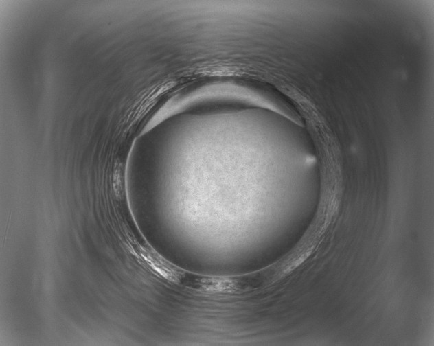 X0000086050288200703231315