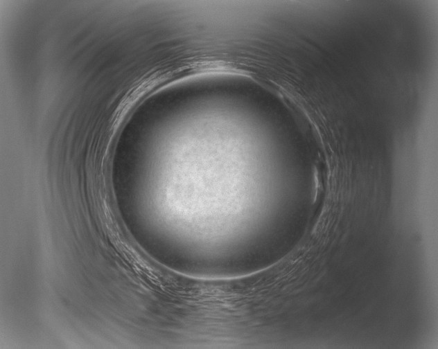 X0000086050289200703231314