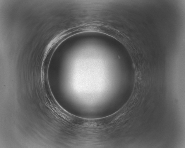 X0000086050294200703231314