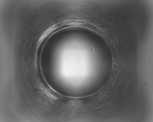 X0000086050296200703231314