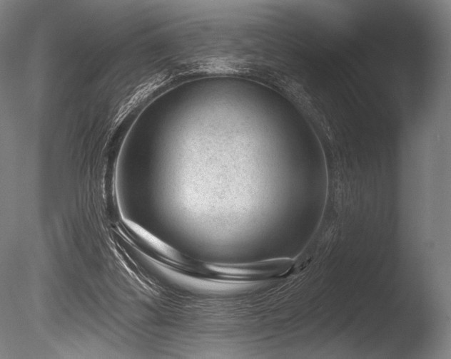 X0000086050299200703231314