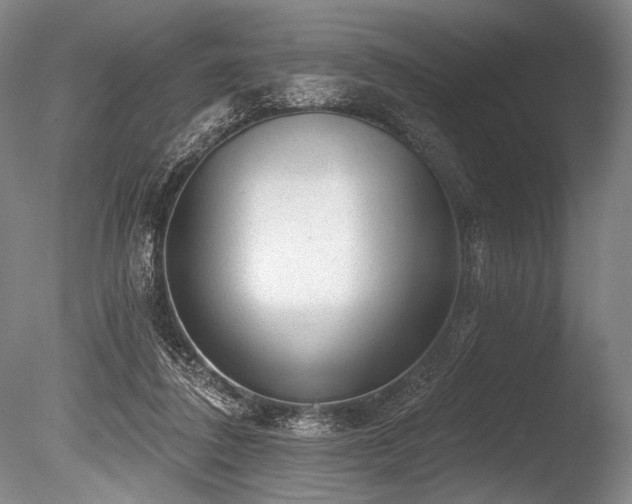 X0000086050308200703231314