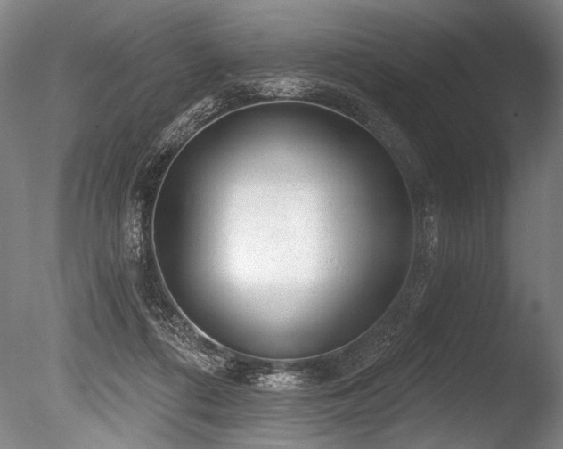 X0000086050312200703231314