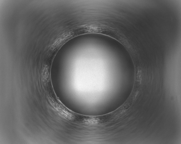 X0000086050318200703231314