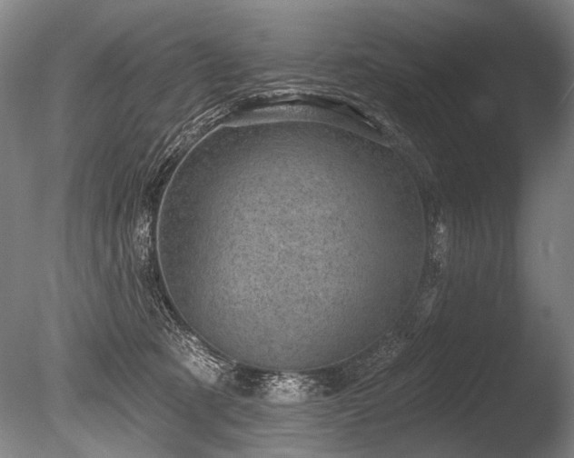 X0000086050321200703231314