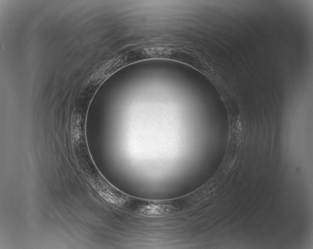 X0000086050323200703231314