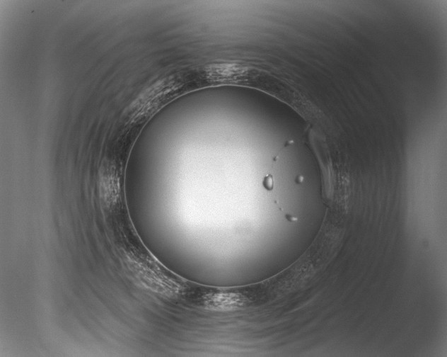 X0000086050324200703231314