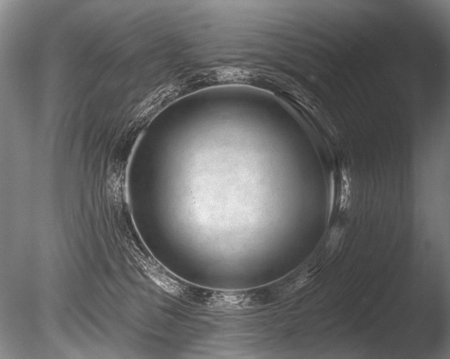 X0000086050329200703231314
