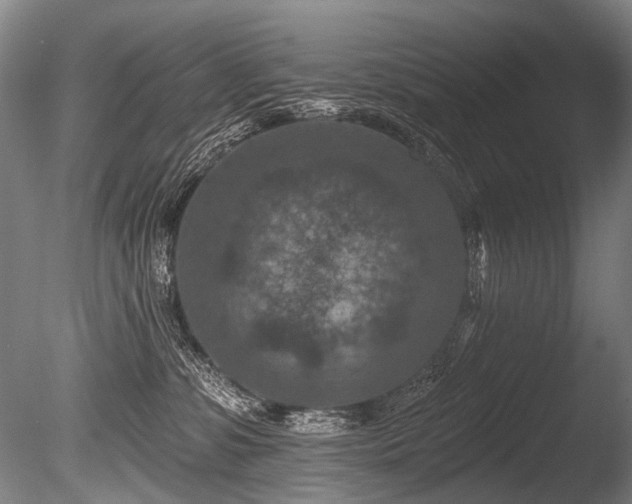 X0000086050331200703231314