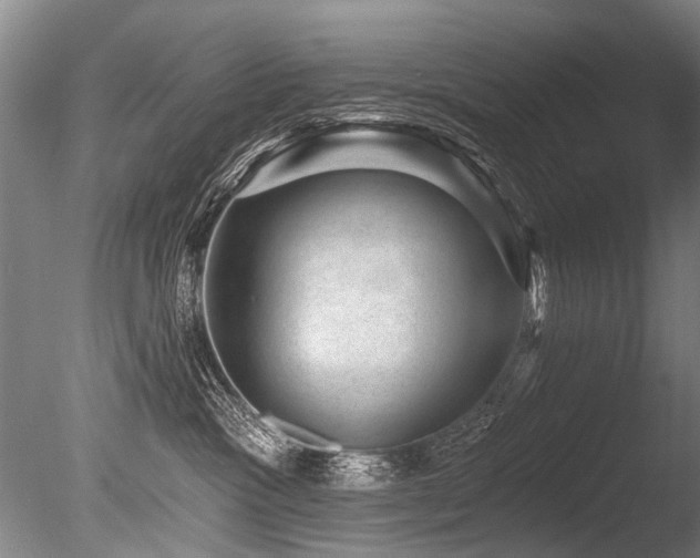 X0000086050333200703231314