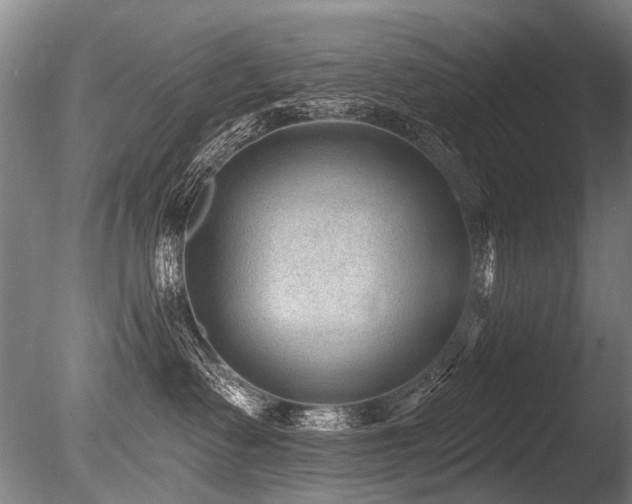 X0000086050335200703231313