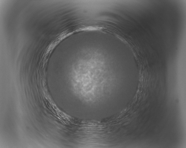 X0000086050337200703231313