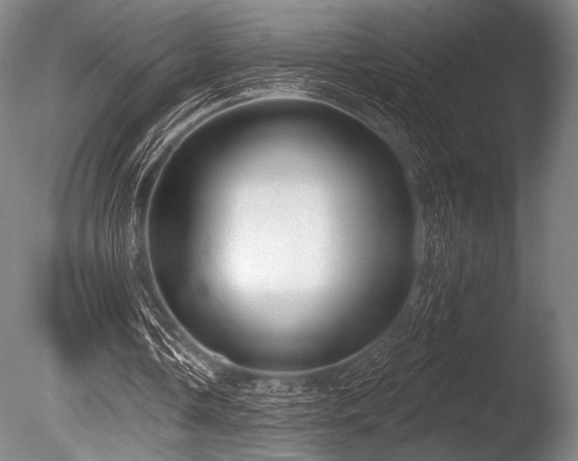 X0000086050338200703231313