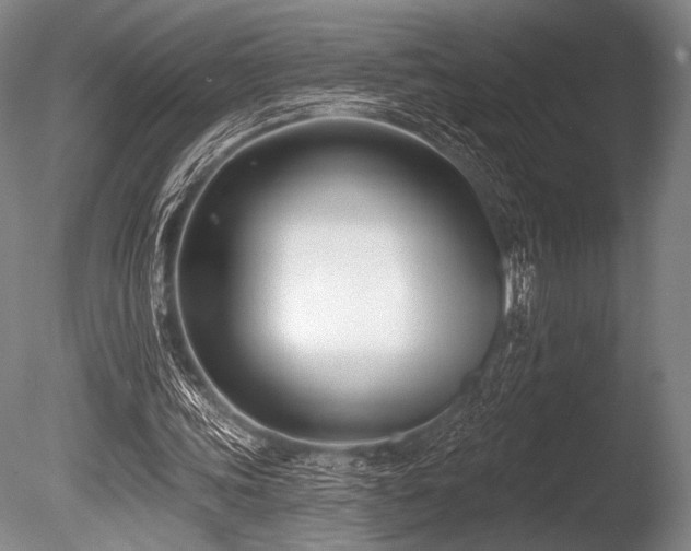 X0000086050339200703231313