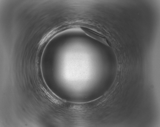 X0000086050341200703231313