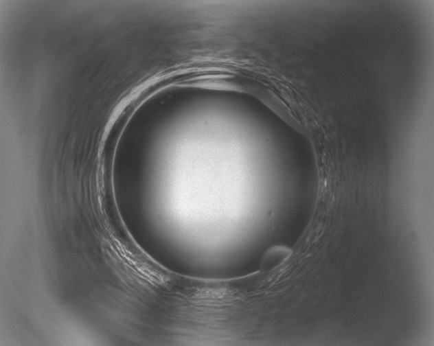 X0000086050342200703231313
