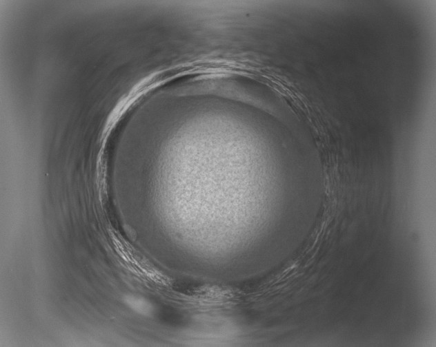 X0000086050343200703231313