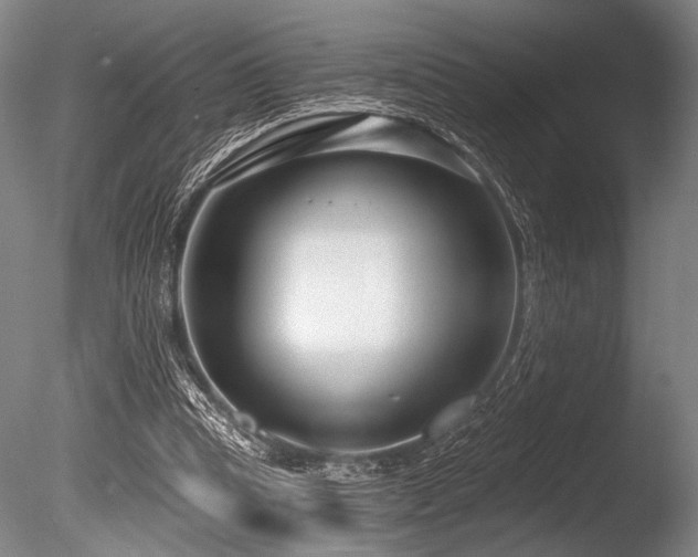 X0000086050345200703231313