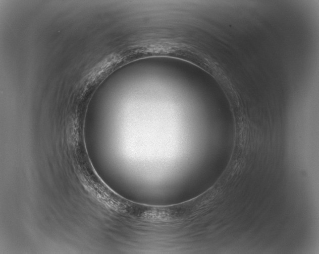X0000086050354200703231313