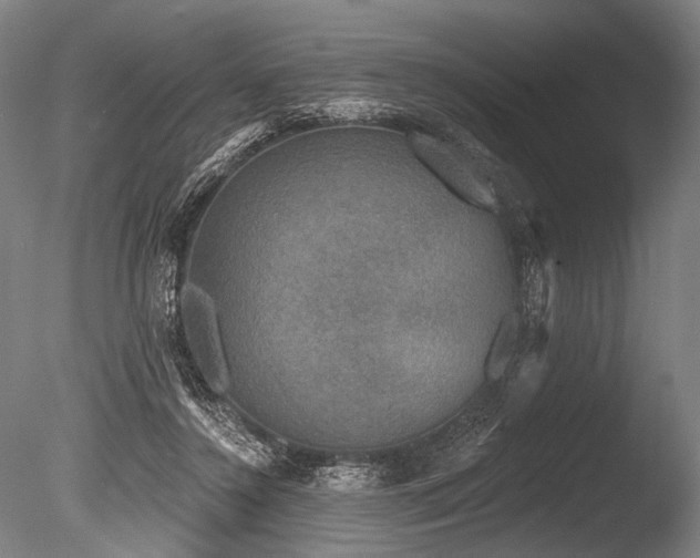 X0000086050356200703231313