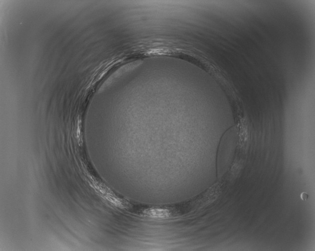 X0000086050361200703231313