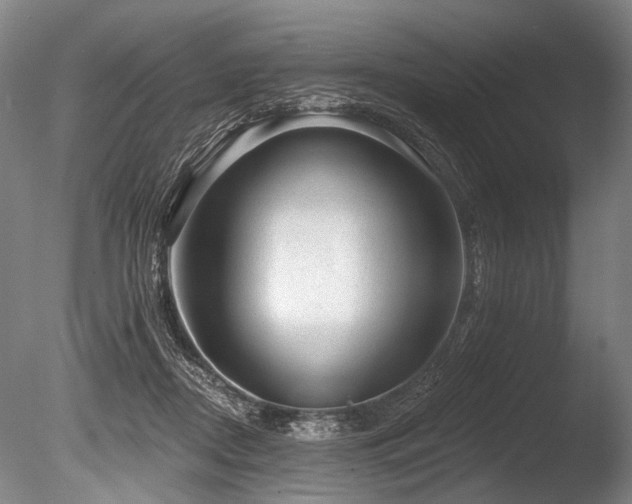 X0000086050362200703231313