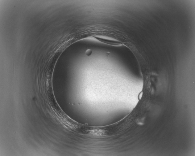 X0000086050363200703231313