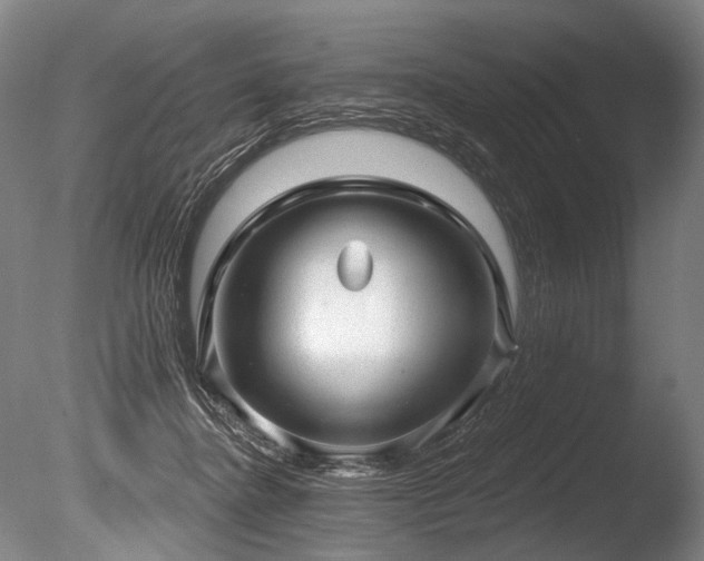 X0000086050364200703231313