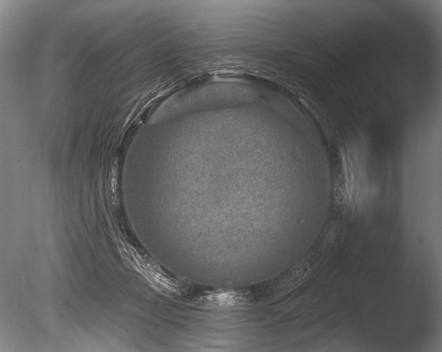 X0000086050365200703231313