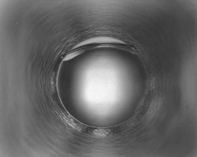 X0000086050373200703231313