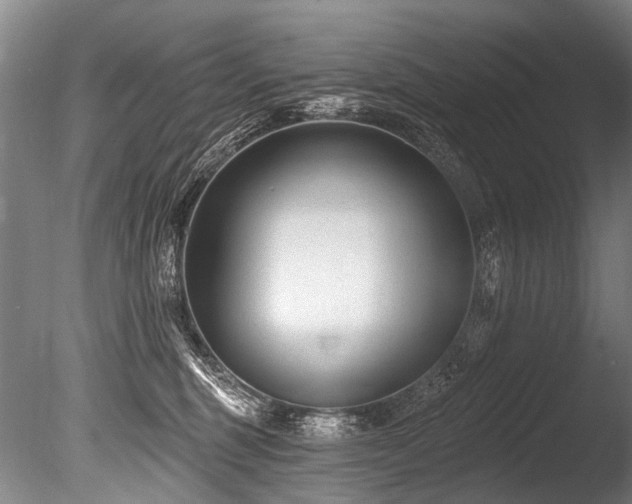 X0000086050375200703231313