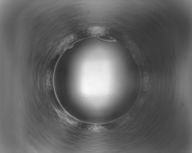 X0000086050379200703231313