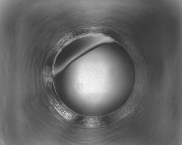 X0000086050384200703231313