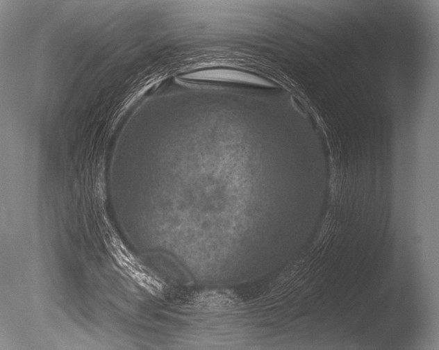 X0000086050386200703231313