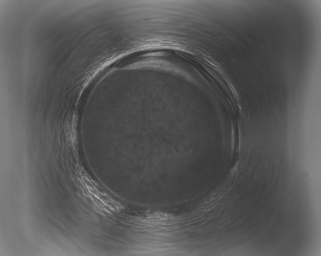 X0000086050387200703231313