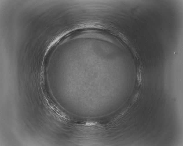 X0000086050388200703231313