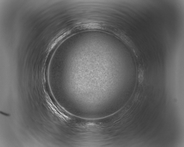 X0000086050390200703231313